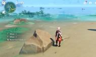 Mysterious Conch location beside a rock in front of Takashi's house (Image via Genshin Impact)